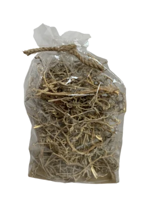 11590 Dry Tree