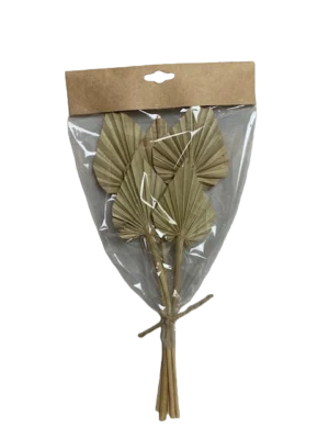 11490 Palm Spear Mini 40cm