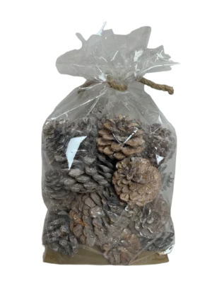 11584 Pine Cone