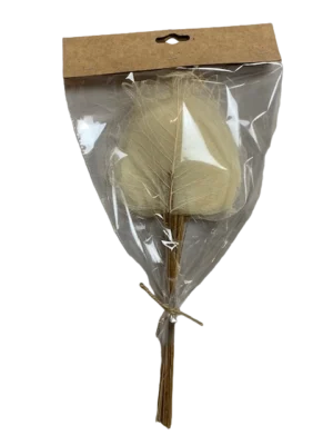 11497 Skeleton Pipul Leaves 40cm